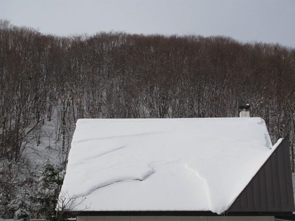 f:id:elmikamino:20081228182151j:image:w450 f:id:elmikamino:20081228182151j:image:w450