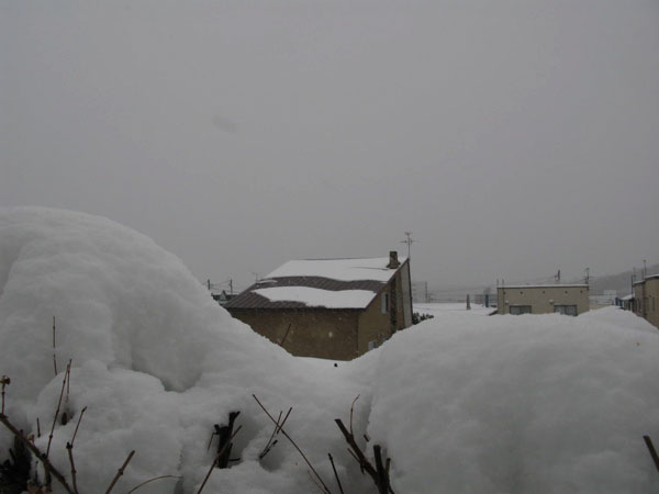 f:id:elmikamino:20081231112524j:image:w450