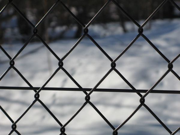 f:id:elmikamino:20090108192108j:image