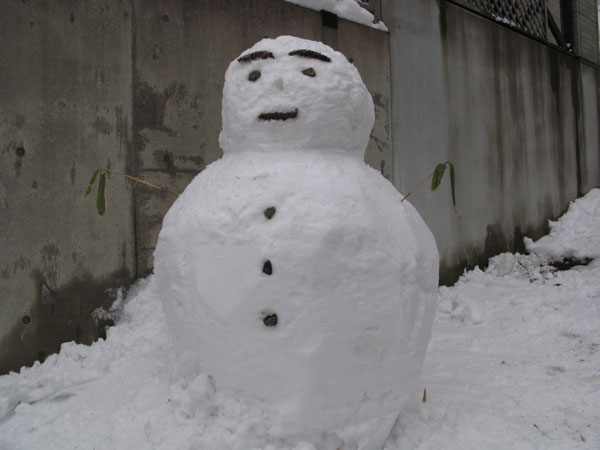 f:id:elmikamino:20090111153938j:image f:id:elmikamino:20090111153938j:image
