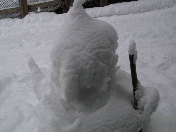 f:id:elmikamino:20090111153939j:image:w450 f:id:elmikamino:20090111153939j:image:w450
