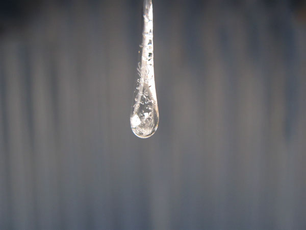 f:id:elmikamino:20090114113821j:image