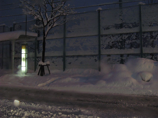 f:id:elmikamino:20090120191759j:image