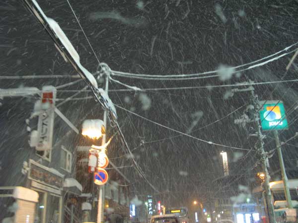 f:id:elmikamino:20090120191801j:image