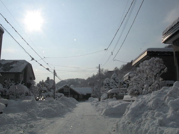 f:id:elmikamino:20090121122332j:image