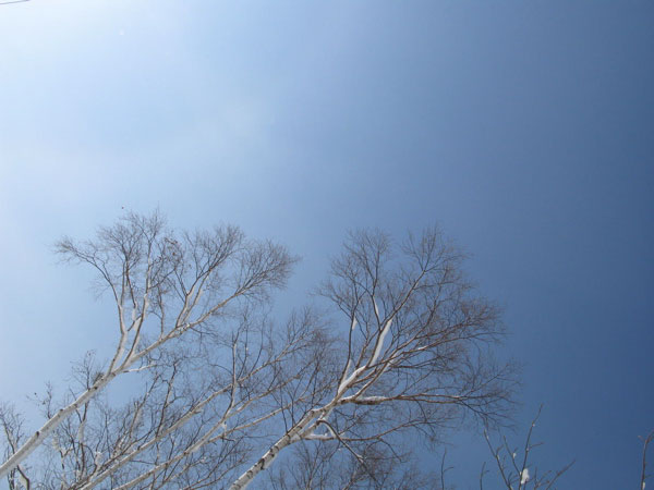 f:id:elmikamino:20090207110321j:image:w450