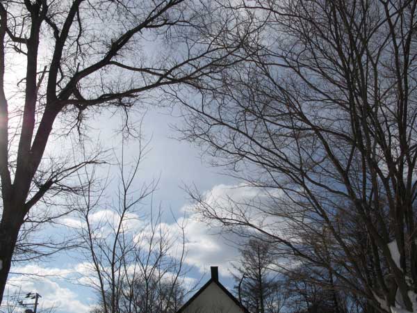 f:id:elmikamino:20090228232134j:image:w450