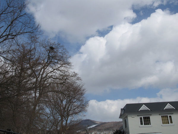 f:id:elmikamino:20090327113237j:image:w450 f:id:elmikamino:20090327113237j:image:w450