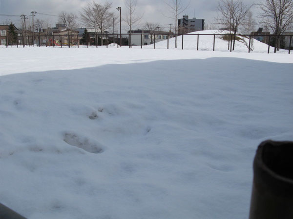 f:id:elmikamino:20090327113240j:image:w450 f:id:elmikamino:20090327113240j:image:w450
