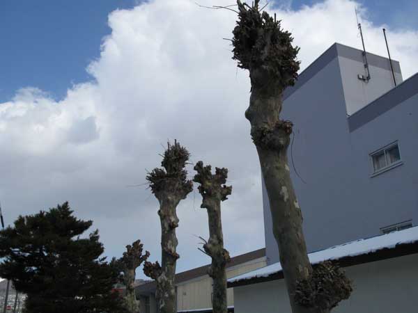 f:id:elmikamino:20090327113241j:image:w450 f:id:elmikamino:20090327113241j:image:w450