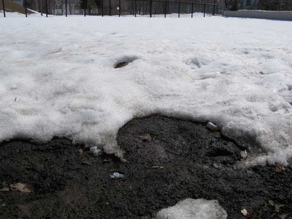 f:id:elmikamino:20090329114321j:image:w450