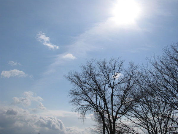 f:id:elmikamino:20090406101425j:image:w450 f:id:elmikamino:20090406101425j:image:w450