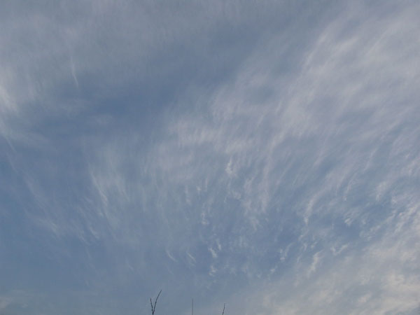 f:id:elmikamino:20090420234915j:image:w450