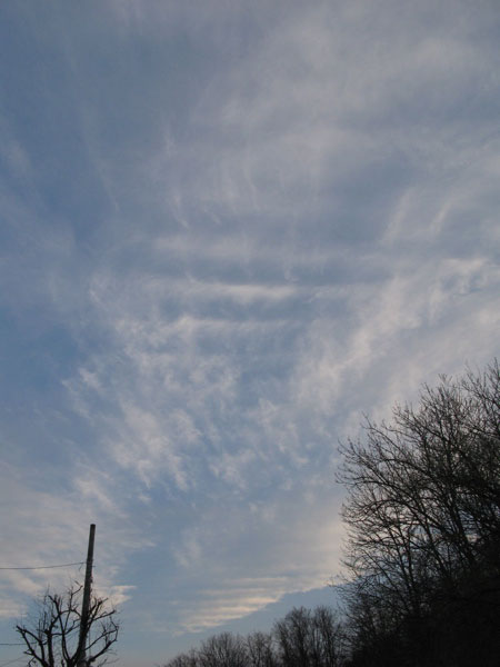 f:id:elmikamino:20090421004624j:image