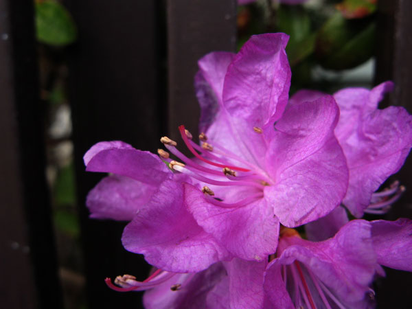 f:id:elmikamino:20090425101928j:image:w450