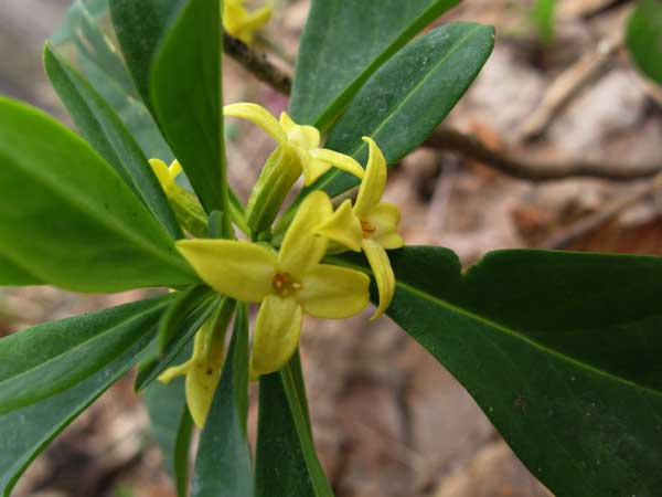 f:id:elmikamino:20090425184441j:image:w450