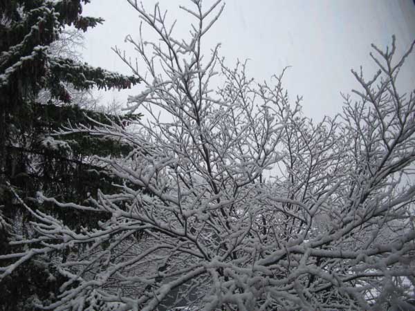 f:id:elmikamino:20090426174344j:image:w450