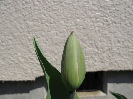 f:id:elmikamino:20090428101837j:image f:id:elmikamino:20090428101837j:image