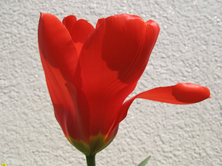 f:id:elmikamino:20090428101841j:image f:id:elmikamino:20090428101841j:image