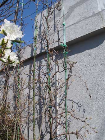 f:id:elmikamino:20090429102738j:image