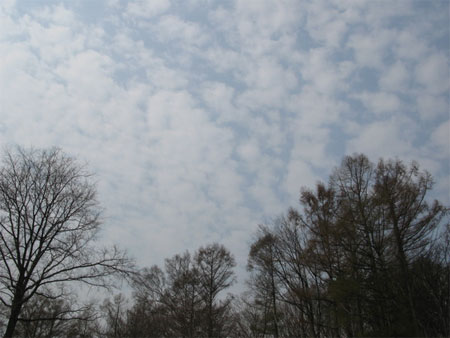 f:id:elmikamino:20090501101858j:image:w300