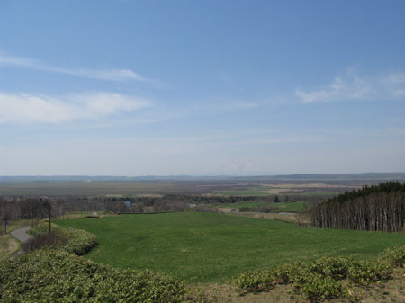 f:id:elmikamino:20090509125447j:image