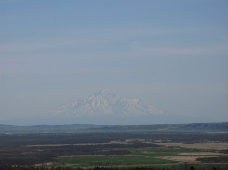 f:id:elmikamino:20090509125448j:image
