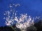 20090510222139