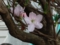20090511102503