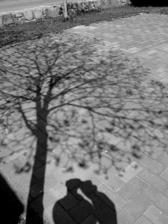 f:id:elmikamino:20090515094721j:image