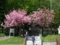 20090519100508
