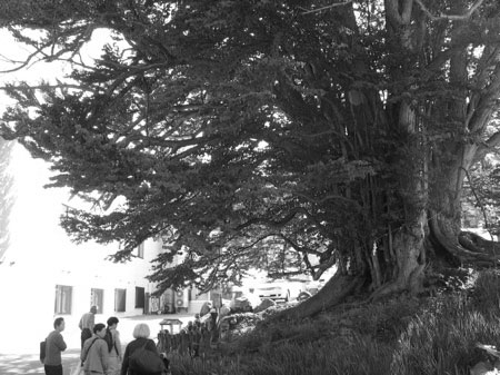 f:id:elmikamino:20090524190728j:image