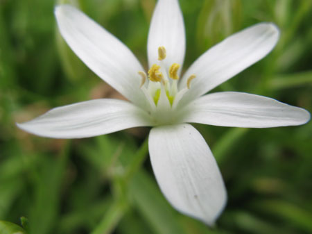 f:id:elmikamino:20090606112441j:image