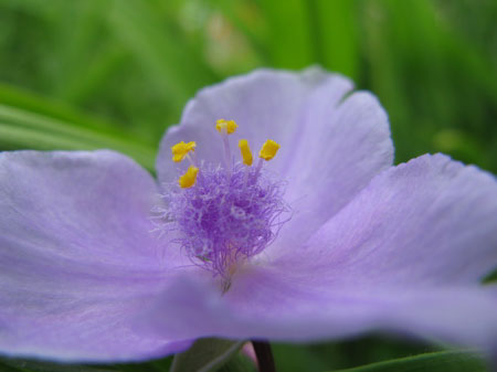 f:id:elmikamino:20090606112450j:image