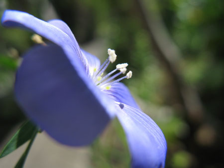 f:id:elmikamino:20090619104843j:image