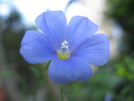 f:id:elmikamino:20090619115333j:image