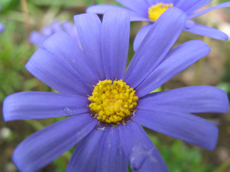 f:id:elmikamino:20090620124348j:image f:id:elmikamino:20090620124348j:image