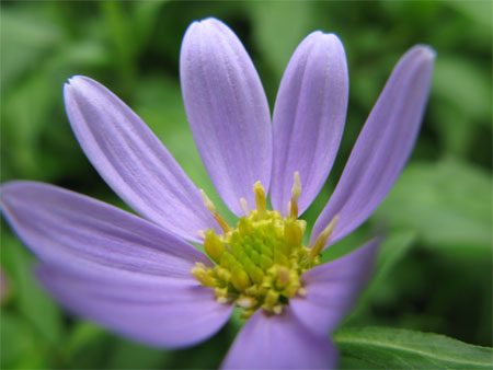 f:id:elmikamino:20090620124353j:image f:id:elmikamino:20090620124353j:image