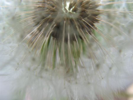 f:id:elmikamino:20090622101055j:image