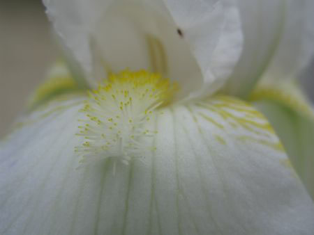 f:id:elmikamino:20090622101342j:image