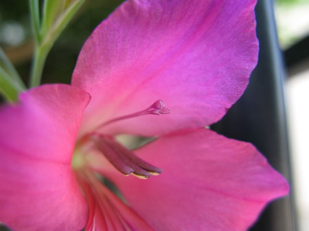 f:id:elmikamino:20090627115105j:image