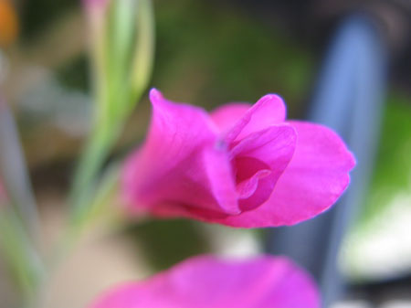 f:id:elmikamino:20090627115815j:image