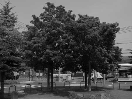 f:id:elmikamino:20090629200905j:image