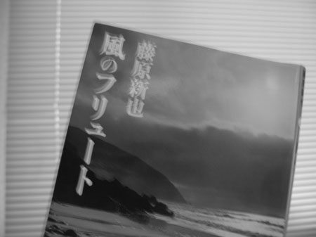 f:id:elmikamino:20090713204821j:image