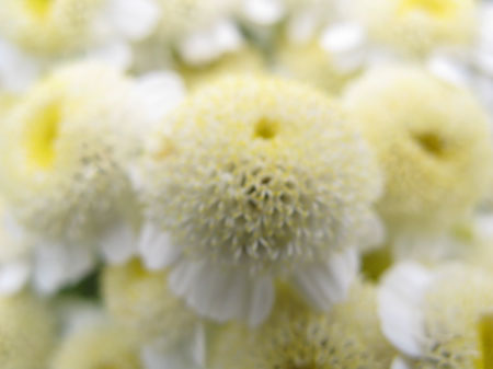 f:id:elmikamino:20090714110209j:image f:id:elmikamino:20090714110209j:image