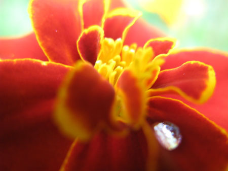 f:id:elmikamino:20090714110218j:image f:id:elmikamino:20090714110218j:image