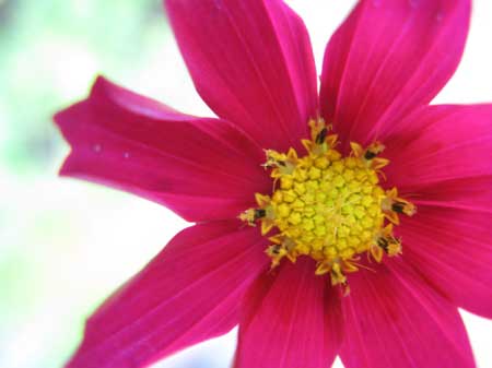 f:id:elmikamino:20090721110017j:image f:id:elmikamino:20090721110017j:image