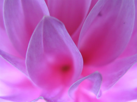 f:id:elmikamino:20090721110023j:image f:id:elmikamino:20090721110023j:image