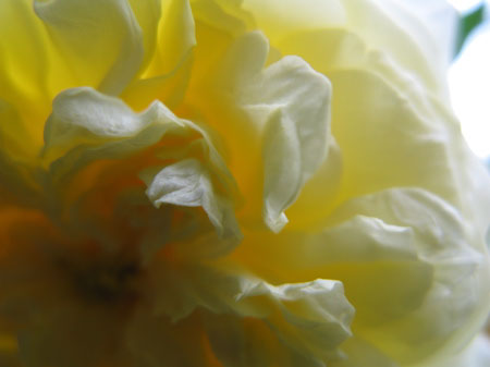 f:id:elmikamino:20090721110024j:image f:id:elmikamino:20090721110024j:image