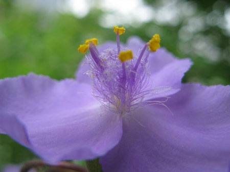 f:id:elmikamino:20090721110028j:image f:id:elmikamino:20090721110028j:image